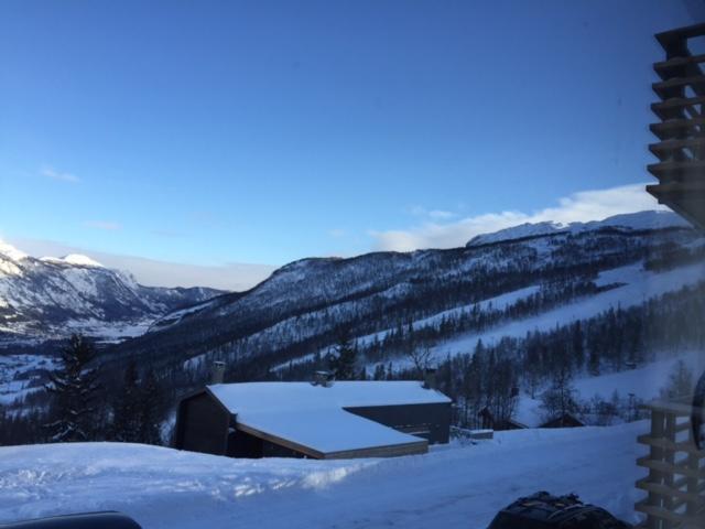 Skarsnuten Panorama 14 Hemsedal Εξωτερικό φωτογραφία